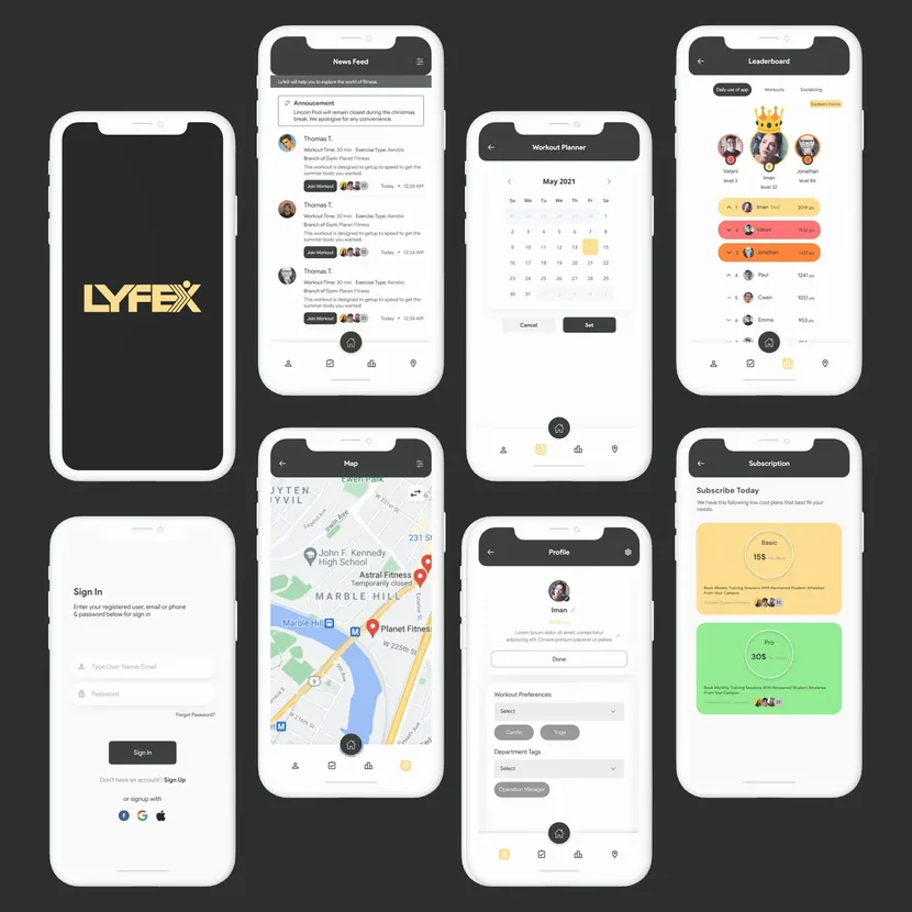 Lyfex — Triaxo project
