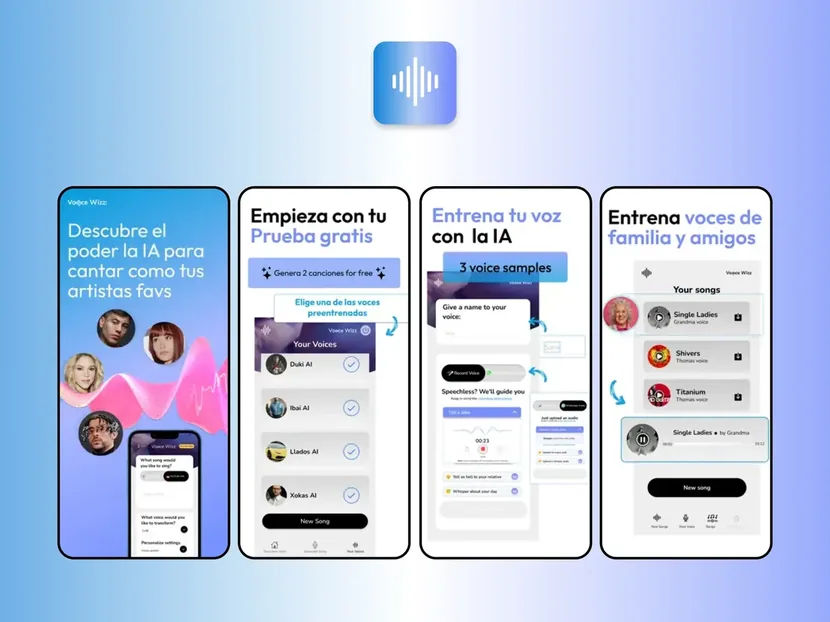 VoiceWizz — Triaxo project
